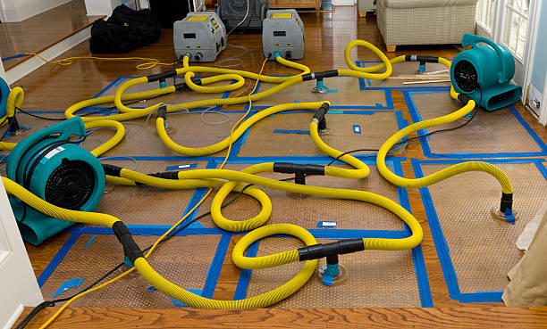 Professional Crawl Space Water Removal technician working in Seymour, WI